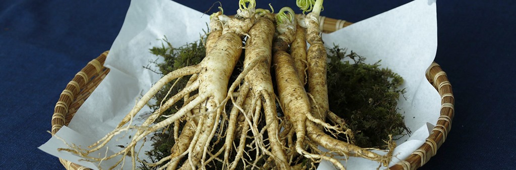 booster son système immunitaire : ginseng